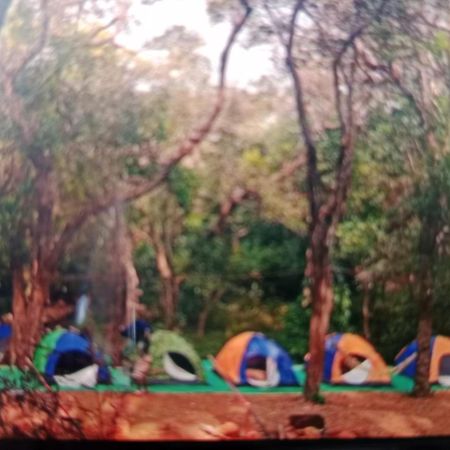 Hotel Hilltone- Matheran Dış mekan fotoğraf